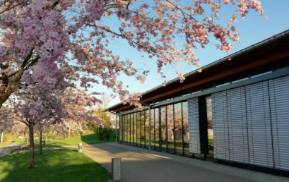 Schöne Sommerferien und Start ins neue Schuljahr 2024/25 am 09.09.24