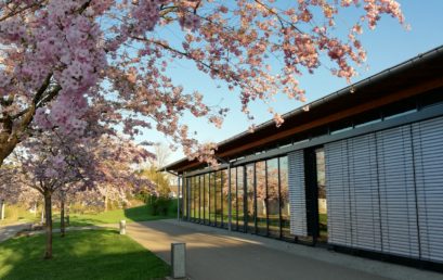 Digitale Vorstellung der Werkrealschule