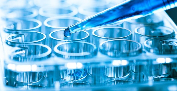 Conoravirus – Aktuelle Informationen Conoravirus – Aktuelle Informationen
