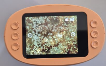 Spannendes Experiment zum Händewaschen in den dritten Klassen
