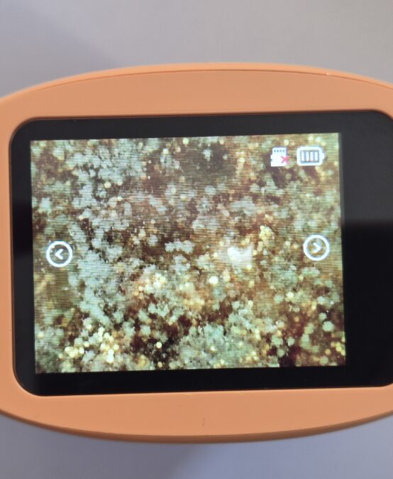 Spannendes Experiment zum Händewaschen in den dritten Klassen