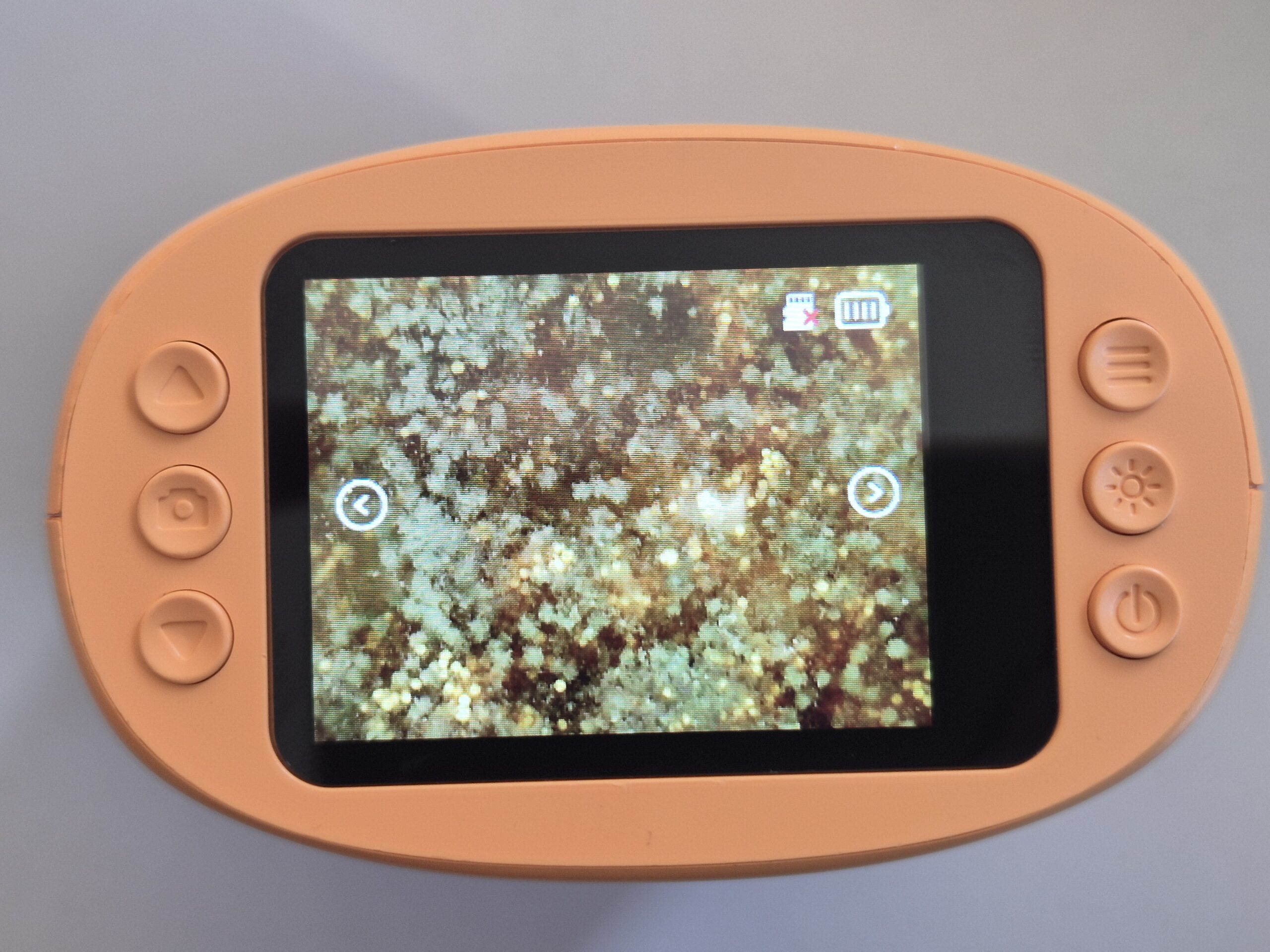 Spannendes Experiment zum Händewaschen in den dritten Klassen